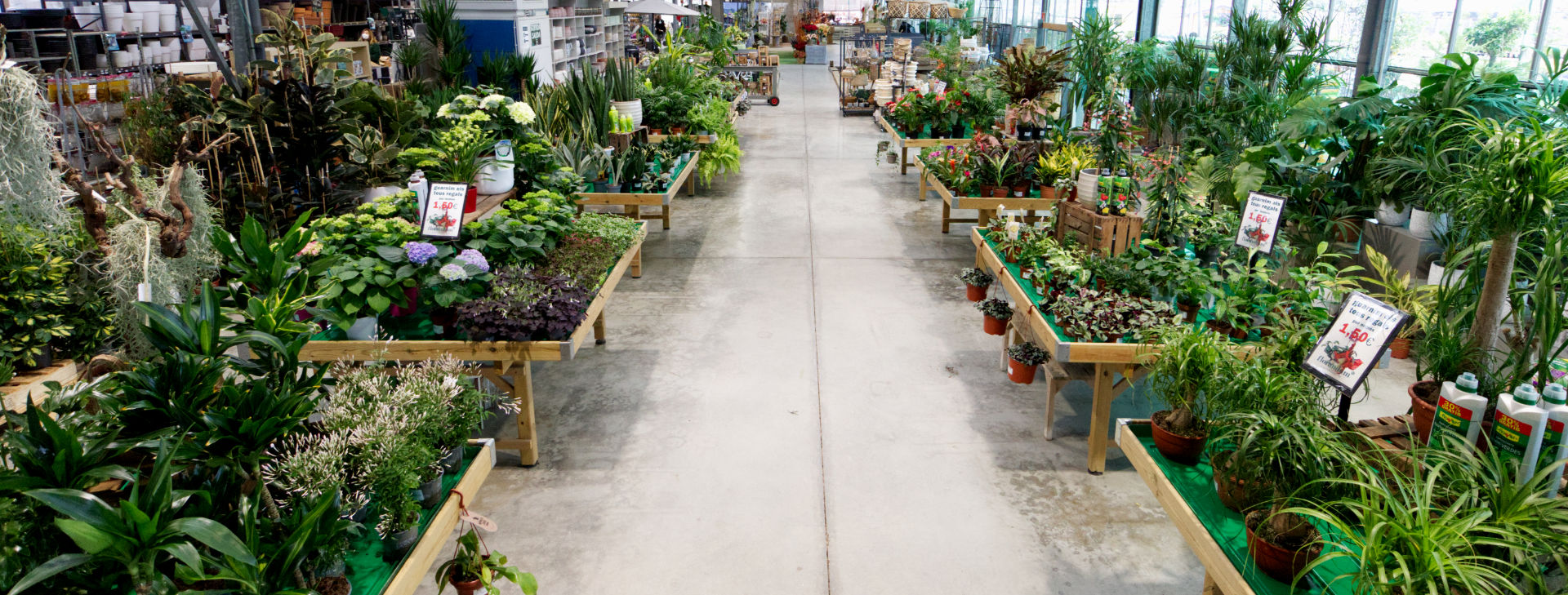 Florandum, t'inspirem 