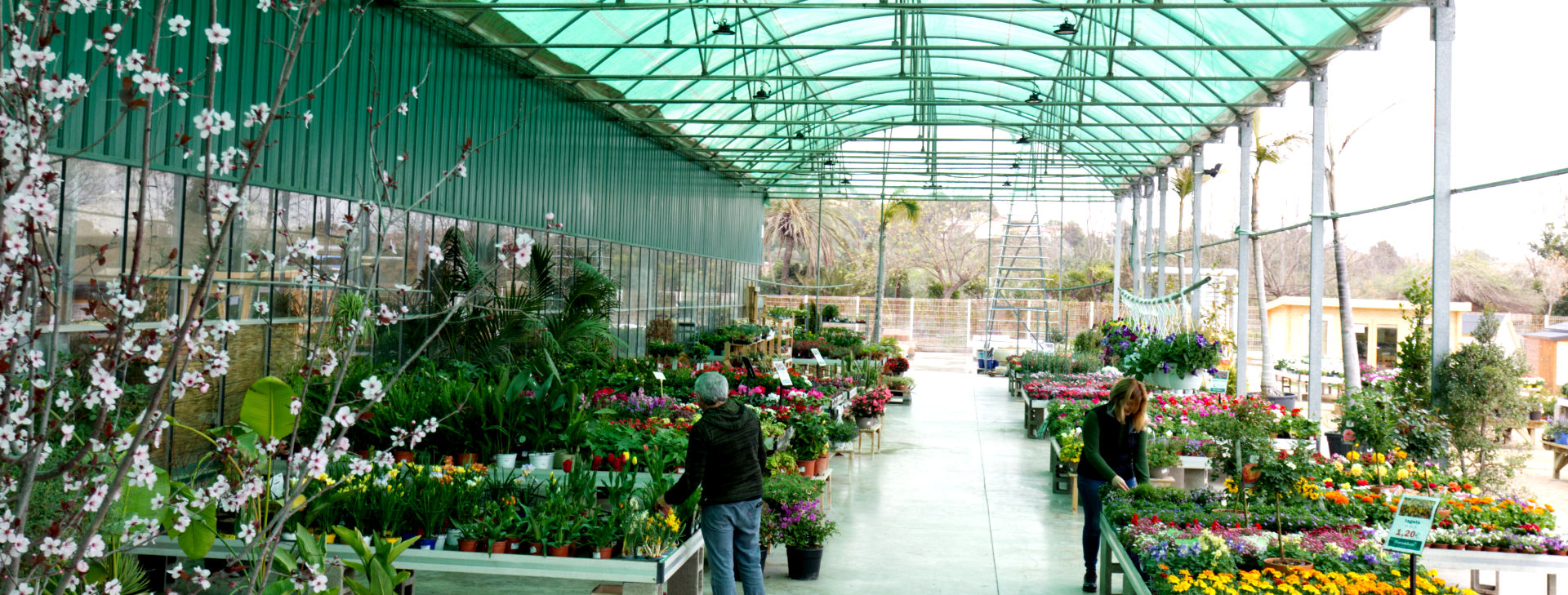 El mercat de plantes i flors 