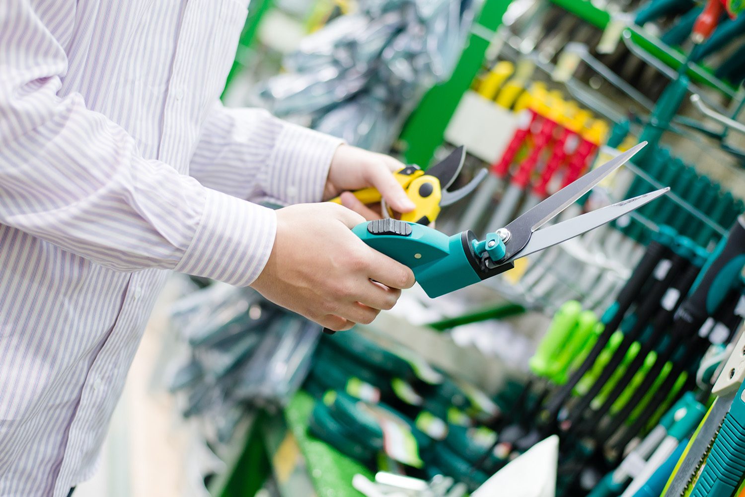 shutterstock_187010969